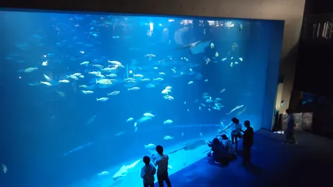 青の世界に吸い込まれる