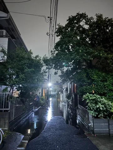 雨上がりの路地裏、幻想的な光景