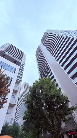高層の間を抜ける風景