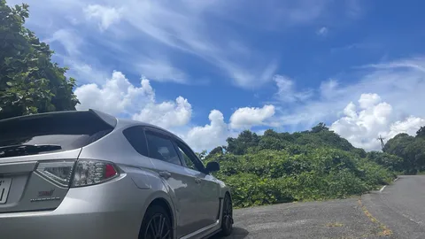 青空と緑の静かな道