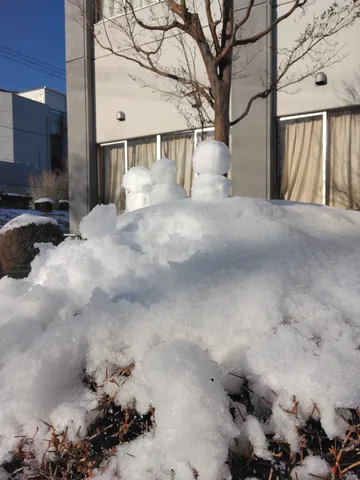 雪解けの小さな仲間たち