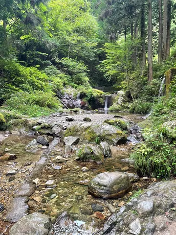 緑のせせらぎと岩影