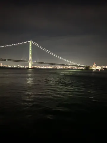 夜景に浮かぶ橋のシルエット