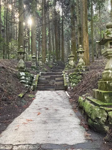 灯籠と鎮守の森、秘境への参道