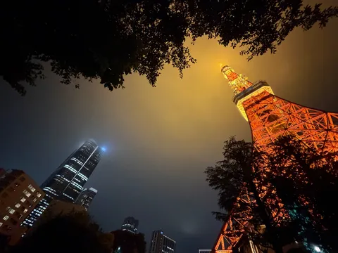 霧夜に浮かぶ鉄塔