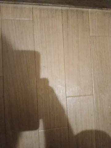 床に映る影の表情