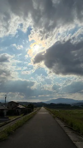 雨上がり、光差す道