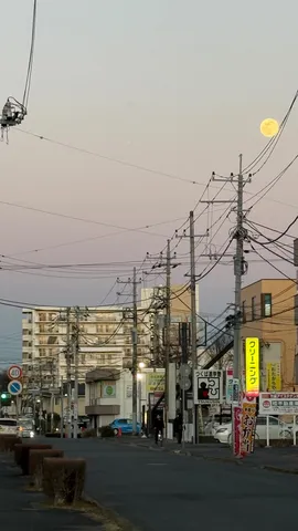 電線と共に見る夕月