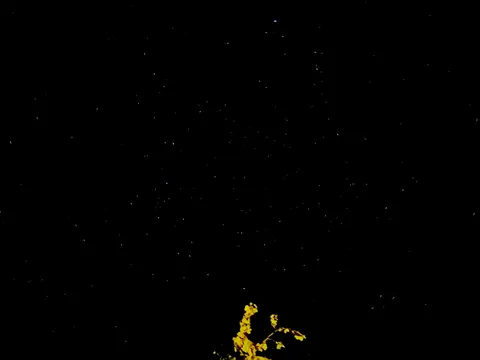 漆黒に瞬く星屑と灯火
