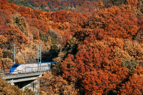 錦を抜ける銀の軌跡