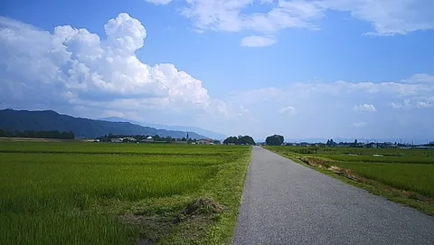 田園のまっすぐな道