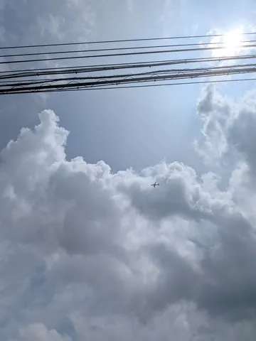 電線カーテンと青空の主役