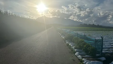 夕陽と長い静かな道