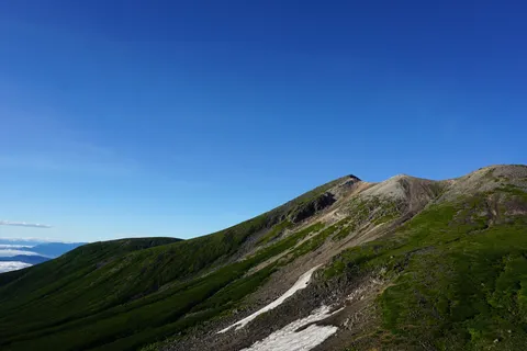 悠久の緑と青空のグラデーション