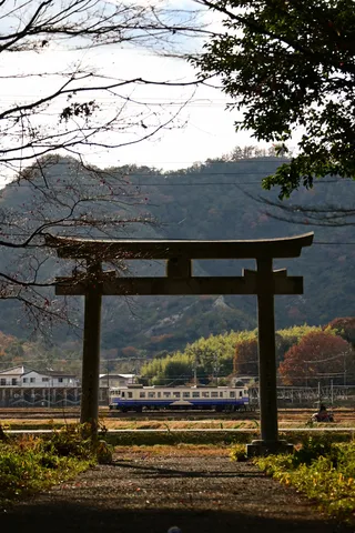 秋が去る頃