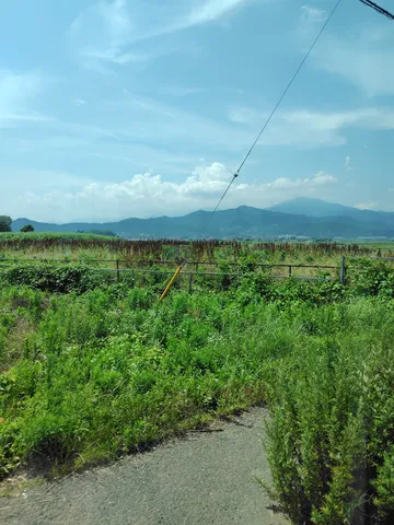 広がる夏の田園風景