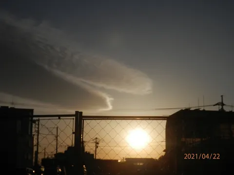 夕暮れとフェンスの光影