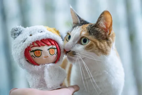 ぬくもりの隣で