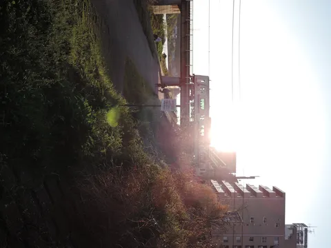 光溢れる川辺の鉄路