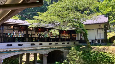 緑と和の建築、癒しの空間