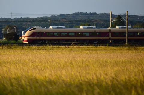 夕暮れを走る列車の影
