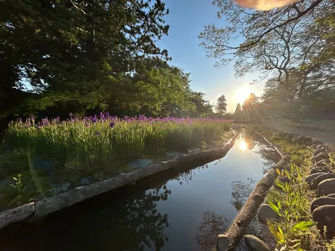 静寂の水面に映る夕暮れ
