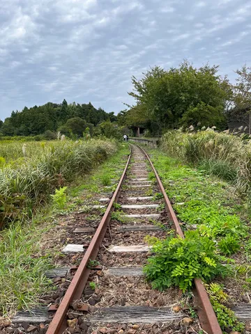 緑に埋もれる、忘れられた線路
