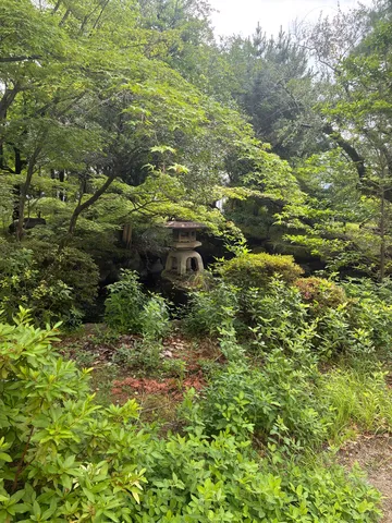 緑陰に佇む石灯籠
