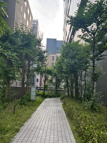 都会の隠れ緑道