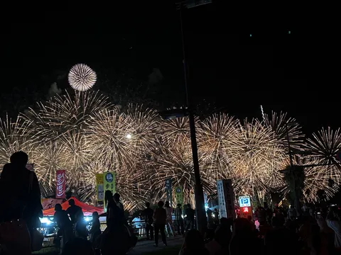 夜空を埋める光の波