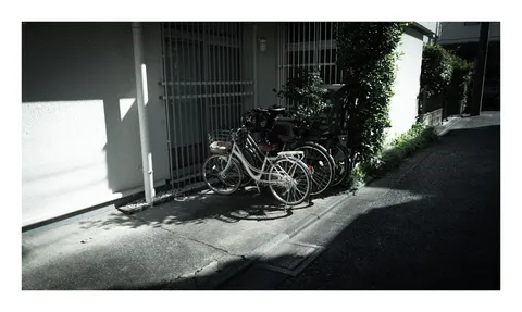 路地に残る自転車の影