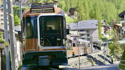 渓谷を走る茶色い列車