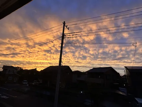 茜色の空、電線が際立つ景色