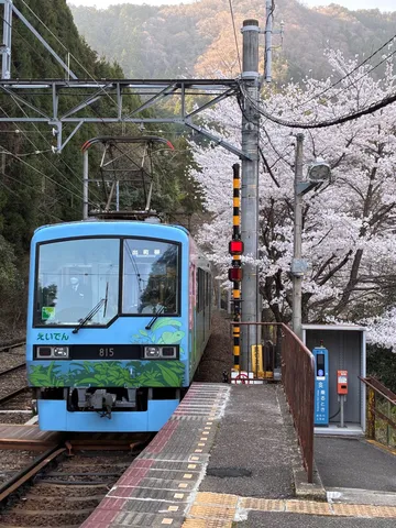桜と青い列車、春の息吹