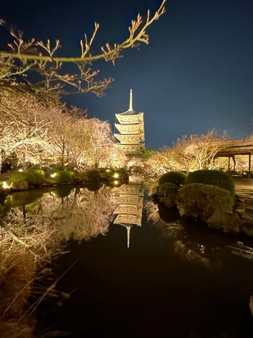 静寂の夜、五重塔の幻想的な水鏡