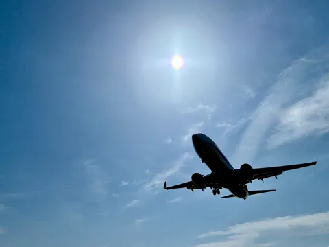 太陽に飛び立つ巨大な鳥