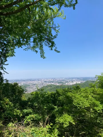 新緑が彩る都市の絶景