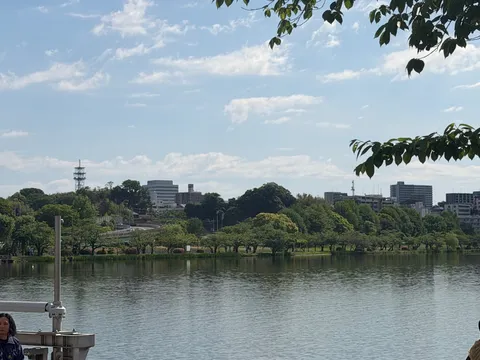 都会のオアシス、穏やかな水辺の風景