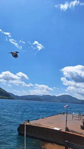 青空とカラス、そして海辺の風情