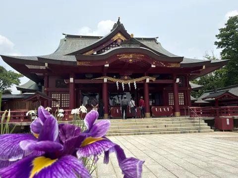 紫の雫、古都の息吹