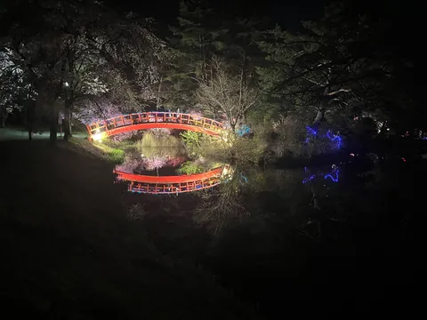 夜桜と朱色の橋、幻想的な水鏡