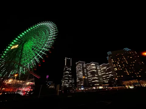 夜空に映える観覧車とビル群