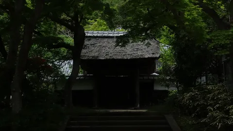 木漏れ日と古民家の佇まい