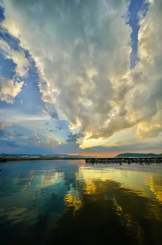 海へ帰る