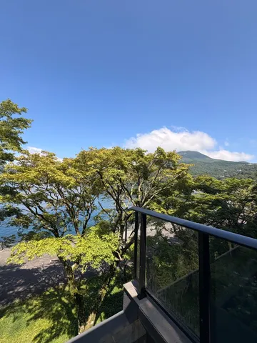青と木漏れ日の静景