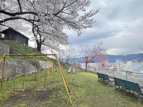 桜と風に揺れる公園の景色