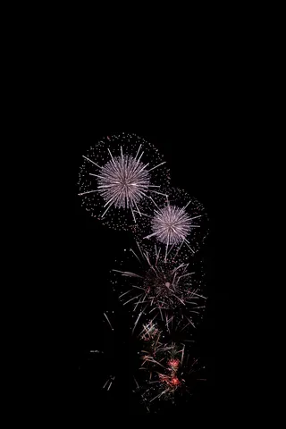 夜空に咲く光の花火