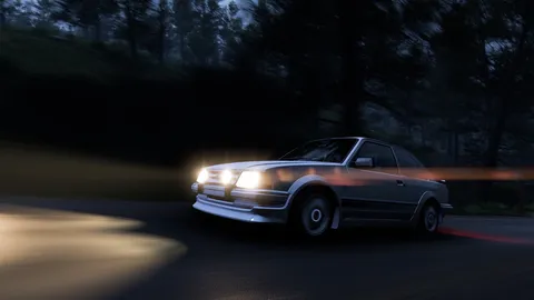 夜の森を疾走する光