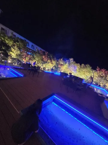 夜のネオン水辺でリラックス
