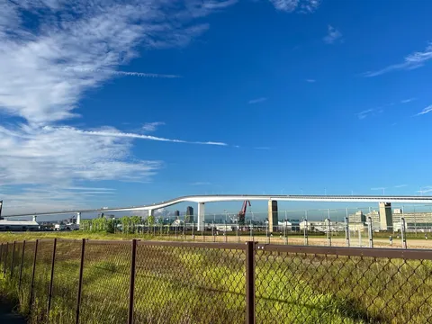青空と橋の曲線が映える日